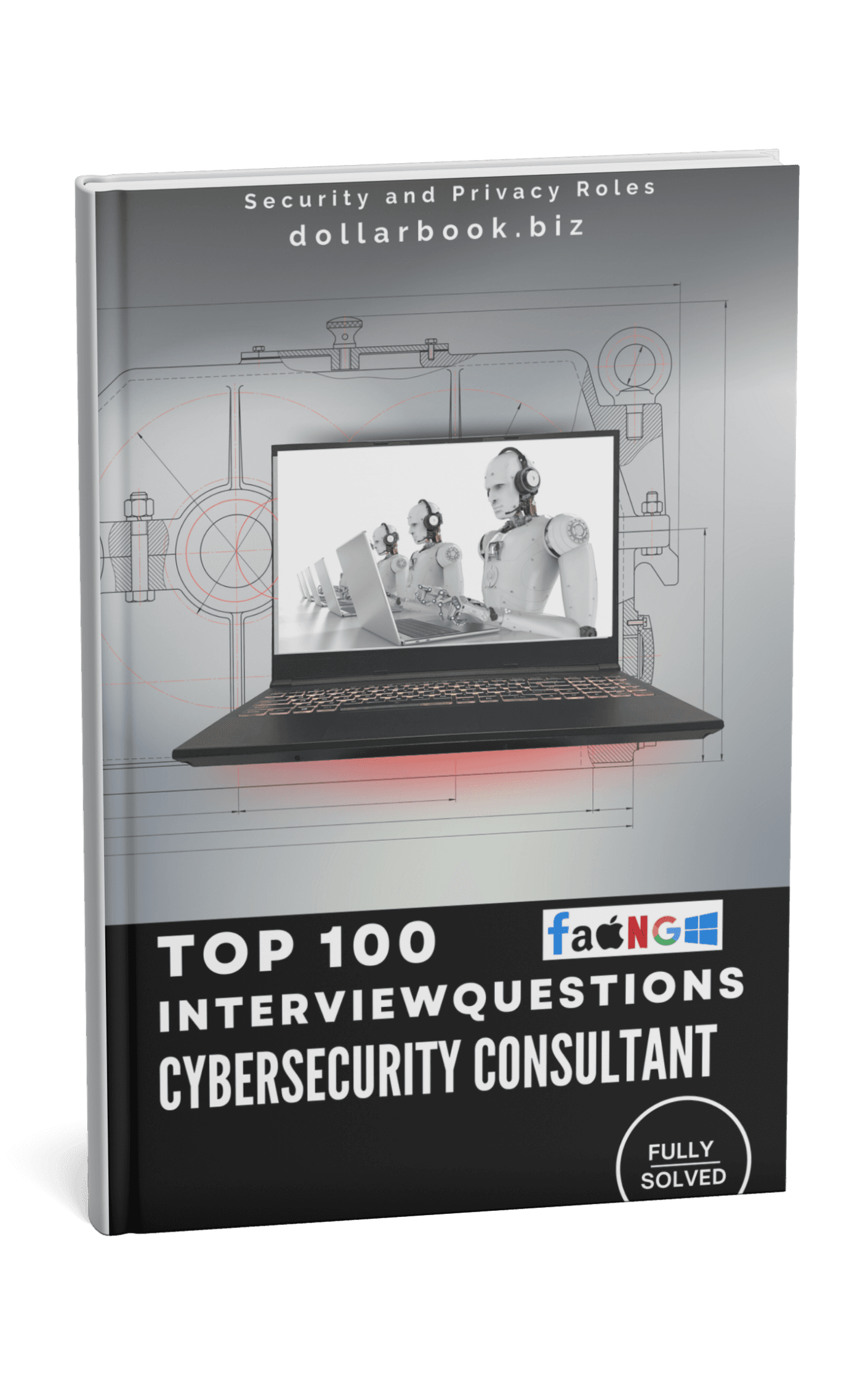 Cybersecurity Consultant